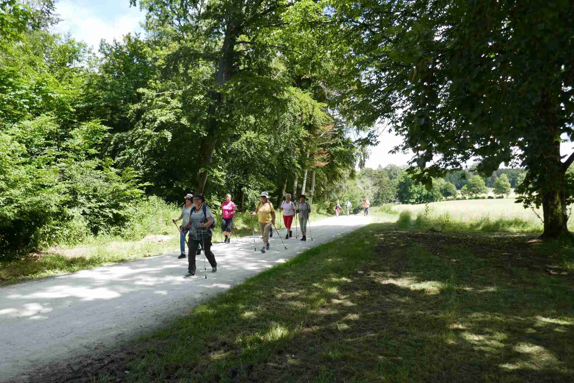 07 Juli - Weiherwiesen bei Tauchenweiler